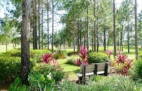 Relax and enjoy the beautiful community